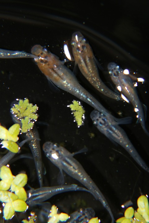 [画像:1c5e6fc2-s.jpg]