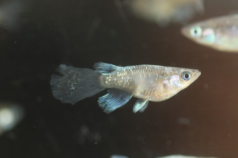 20200302155755_1V5A8218