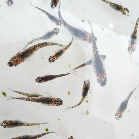 IMG_20190830_155015_249