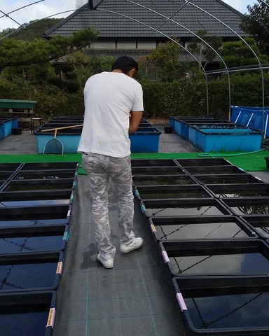 IMG_20191016_031757_992