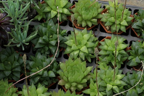 20210227095720_1V5A9886