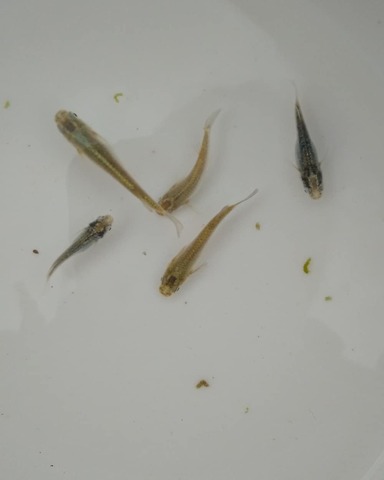 IMG_20200226_171015_479