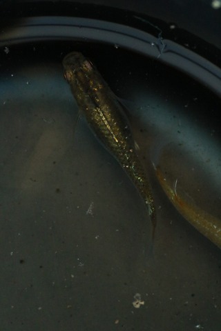 20240521181102_1V5A6215