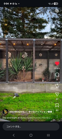 Screenshot_20260227_000453_Instagram