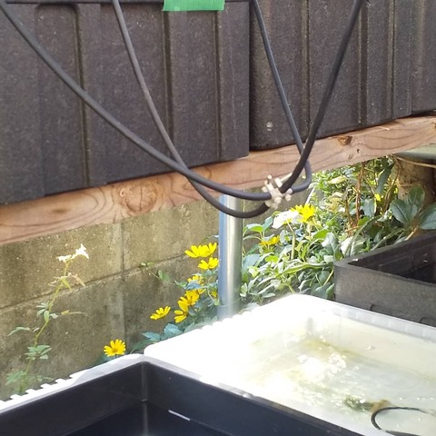 IMG_20200922_162607_908