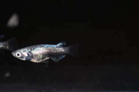 20200907181354_IMG_3401