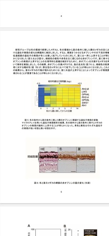 Screenshot_20231218-082909_Drive