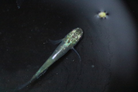 20200225170930_1V5A8197