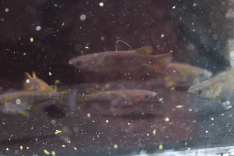 20180812113110_IMG_8103