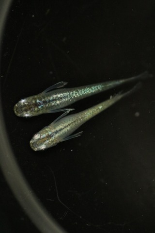 20190417143142_IMG_6386