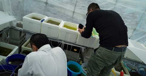 IMG_20200303_191301_674