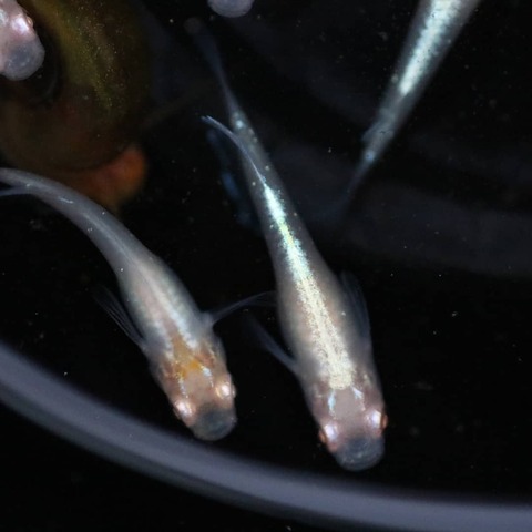 IMG_20200919_180704_867