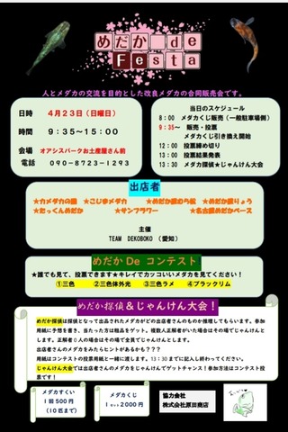 Screenshot_20230225-050752_Drive