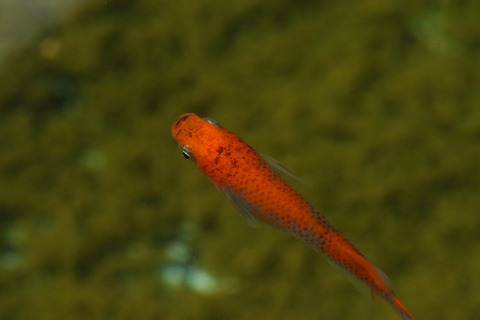 20210227101005_1V5A9911