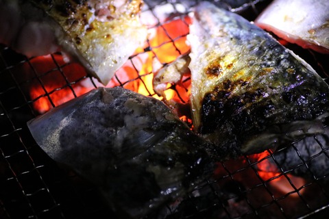 20200927190401_IMG_3585