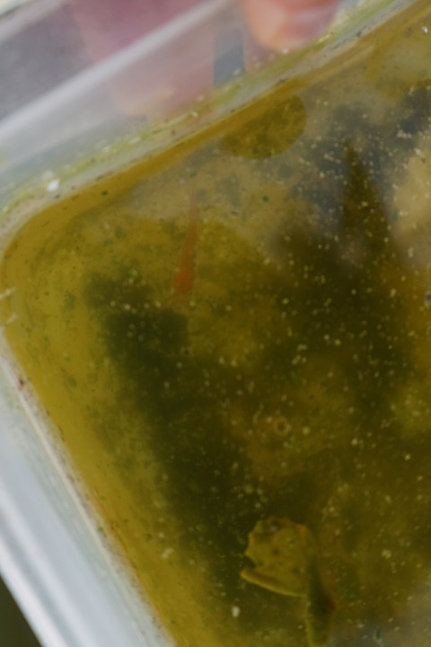 20180323172603_IMG_4058