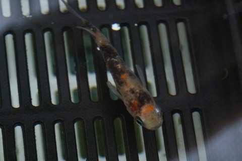 20210227095700_1V5A9885