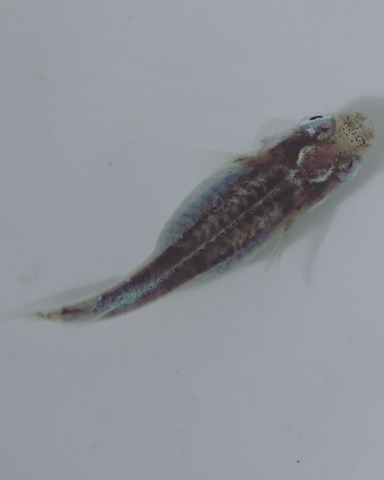 IMG_20200225_111416_016