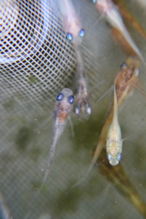 20180314174816_IMG_3854