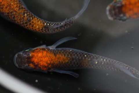 20200322142445_1V5A9209