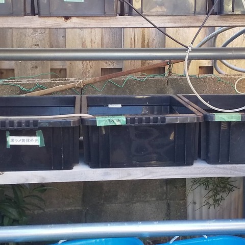 IMG_20200922_162607_910