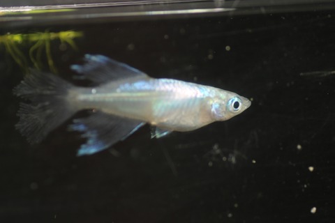 20190413122646_IMG_6195