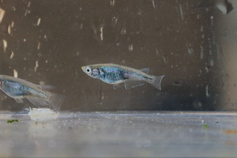 20180730180724_IMG_7664