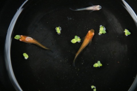 20180109142505_IMG_2660