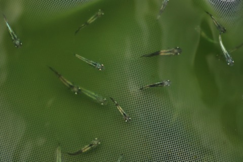 20190802113432_1V5A8409