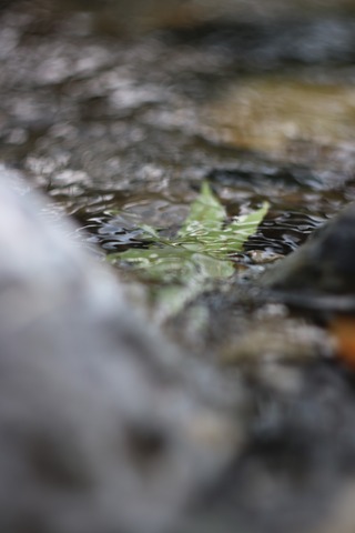 20190731120758_IMG_7867