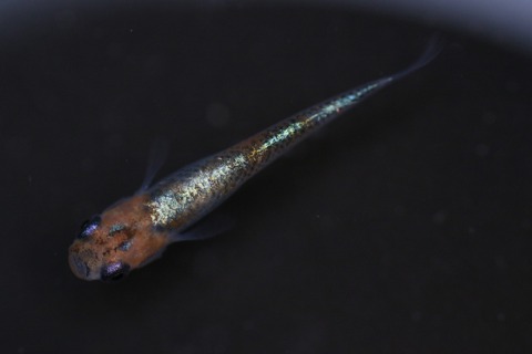 20220309113742_1V5A3446