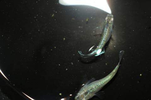 20180801182352_IMG_7725