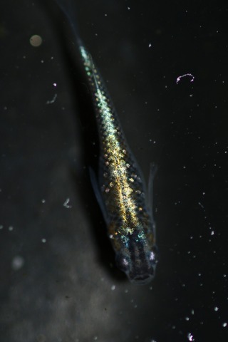 20200331103636_1V5A9327