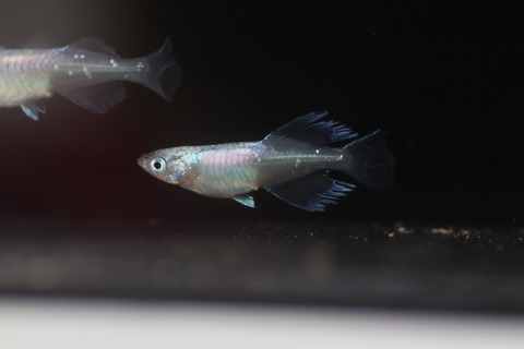 20190712170705_1V5A7389