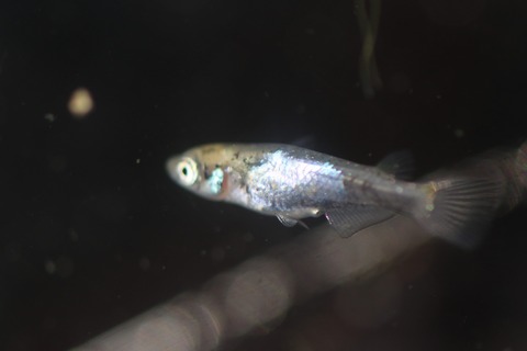 20191129093330_1V5A6099