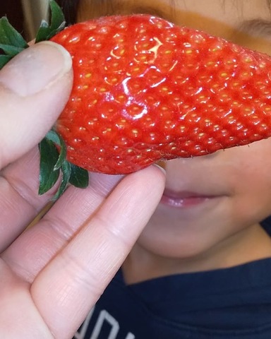 IMG_20200202_214303_573