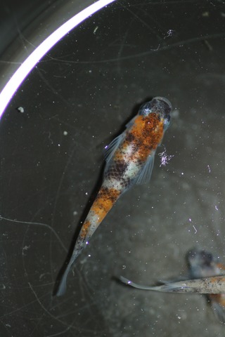 20190417154602_IMG_6478