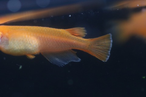 20190726180958_1V5A7799