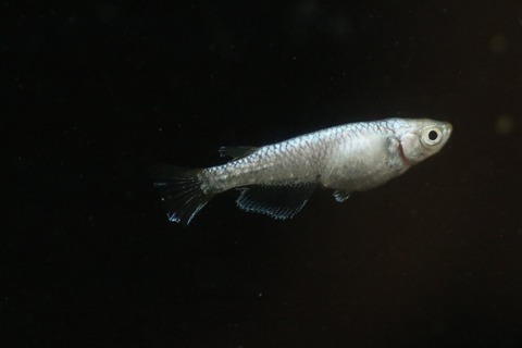 20190404181222_IMG_5784