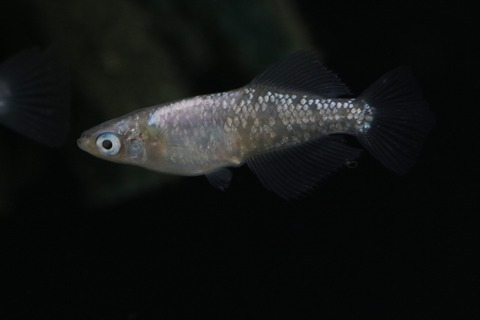 20210227102536_1V5A9944