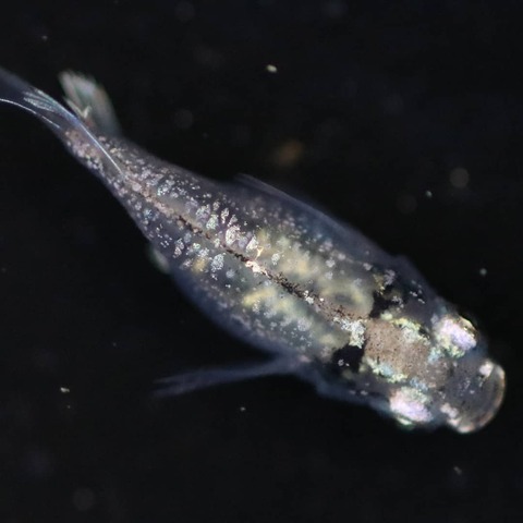 IMG_20200208_125513_711