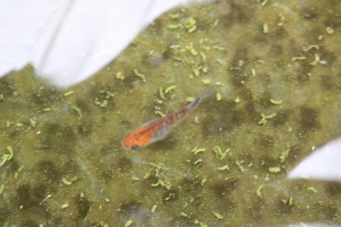 20180319103452_IMG_3988