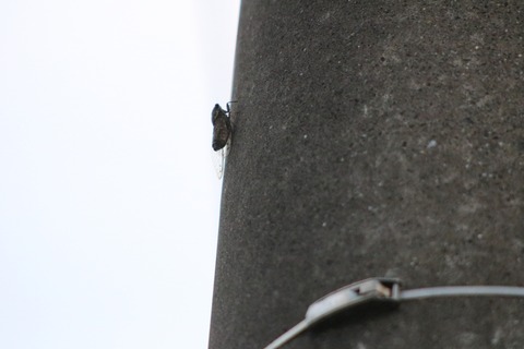 [画像:3cda42bf-s.jpg]