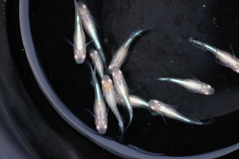 20200919182128_IMG_3531