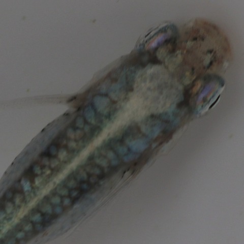 IMG_20200316_211322_843