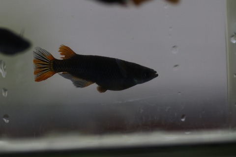 20190726183630_1V5A7877