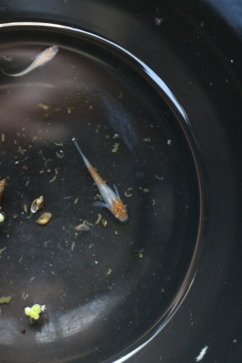 20180214154422_IMG_3348