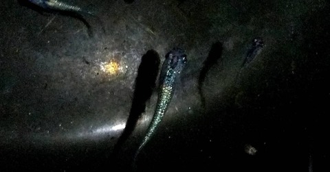 IMG_20210103_103712_647