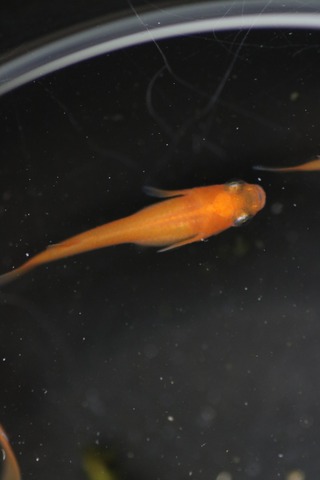 20190426155815_IMG_6606