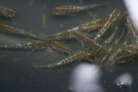 20180319101145_IMG_3974